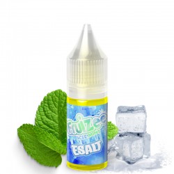 E-liquide Icee Mint 10ml - Esalt Fruizee