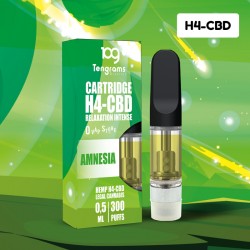 Cartridge Amnesia H4-CBD - Tengrams
