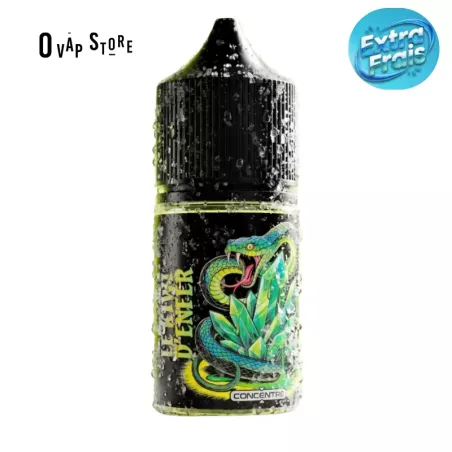 Concentré Le Kiwi D’Enfer 30ml - Vape Enfer