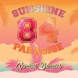 Concentré Abricot Berries - Sunshine 84