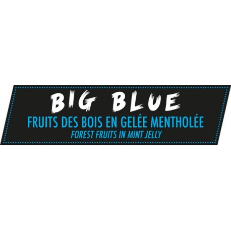 E-liquide Big Blue 80ml - Vaporingins
