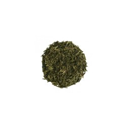 Infusion CBD / Thé Vert Bio Sencha - TIZZ