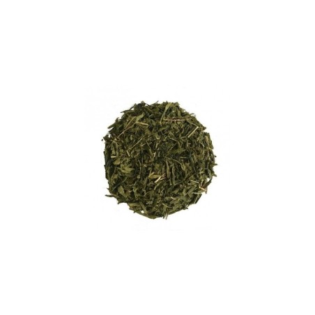 Infusion CBD / Thé Vert Bio Sencha - TIZZ