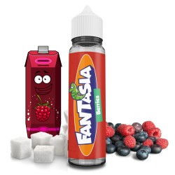 E-liquide Berries 50ml - Funtasia Liquideo